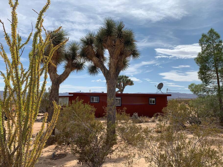 The La Brisa Hideaway - Secluded Feeling! Villa Joshua Tree Exterior photo