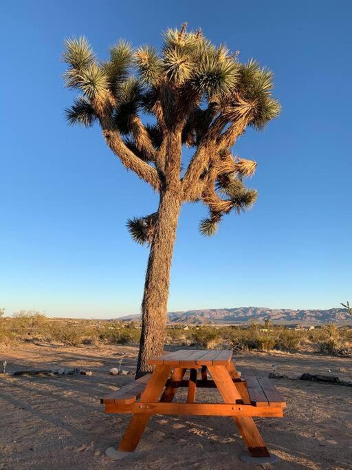 The La Brisa Hideaway - Secluded Feeling! Villa Joshua Tree Exterior photo