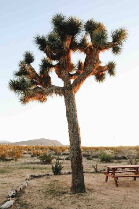 The La Brisa Hideaway - Secluded Feeling! Villa Joshua Tree Exterior photo