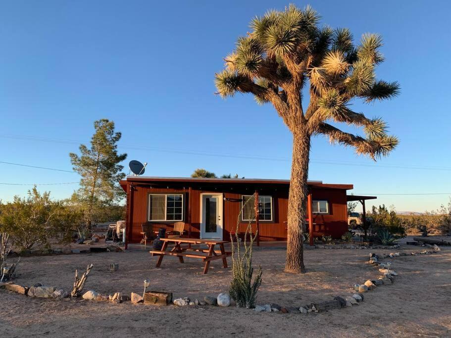 The La Brisa Hideaway - Secluded Feeling! Villa Joshua Tree Exterior photo