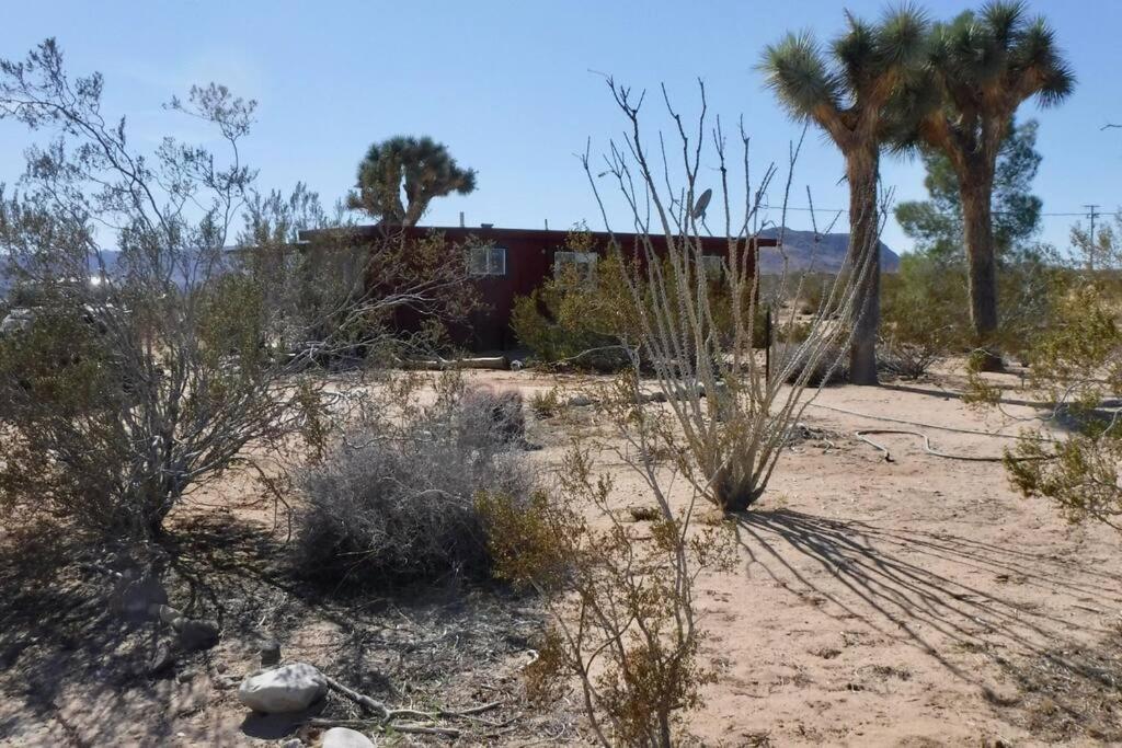 The La Brisa Hideaway - Secluded Feeling! Villa Joshua Tree Exterior photo