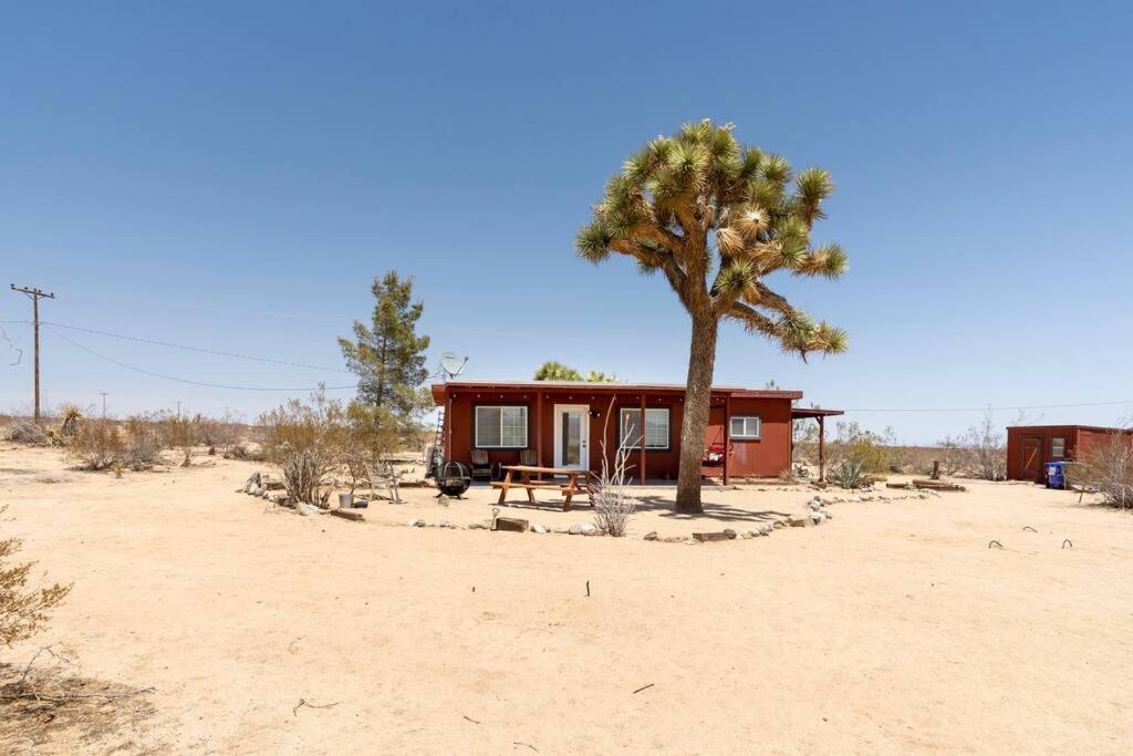 The La Brisa Hideaway - Secluded Feeling! Villa Joshua Tree Exterior photo