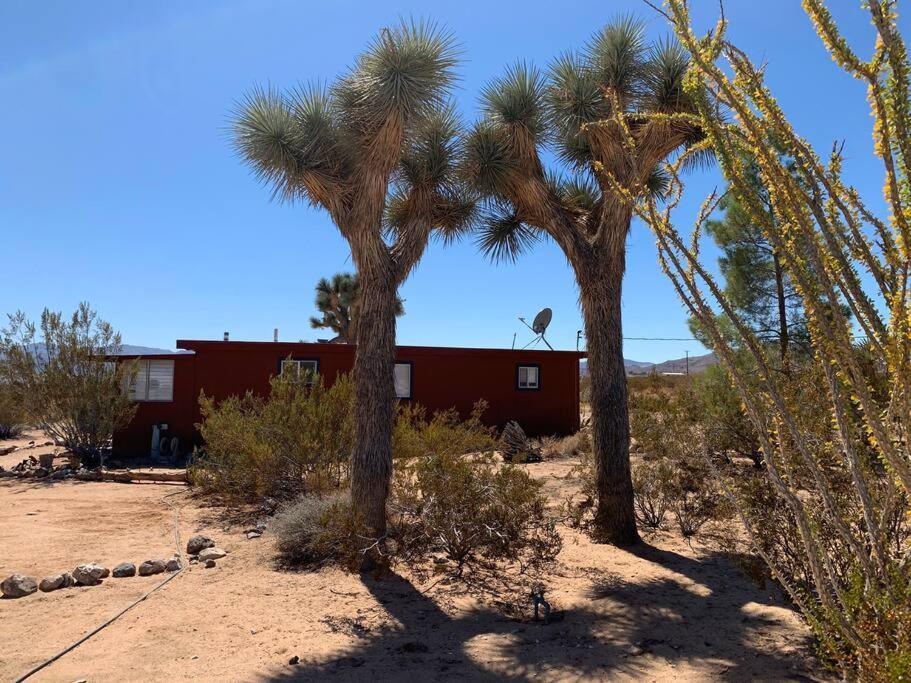 The La Brisa Hideaway - Secluded Feeling! Villa Joshua Tree Exterior photo